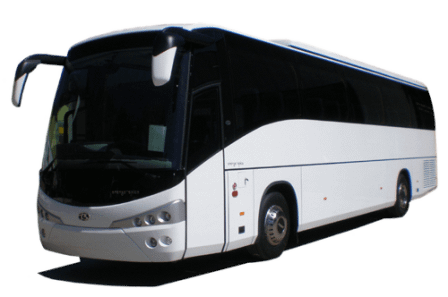 Wedding bus rentals in Belgium